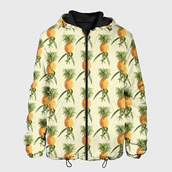 Мужская куртка Побеги ананасов