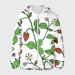 Мужская куртка Цветы Земляники Лесной