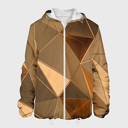 Куртка с капюшоном мужская Золотые 3D треугольники, цвет: 3D-белый
