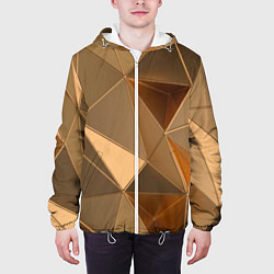 Куртка с капюшоном мужская Золотые 3D треугольники, цвет: 3D-белый — фото 2