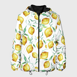 Куртка с капюшоном мужская Лимоны Нарисованные Акварелью, цвет: 3D-черный
