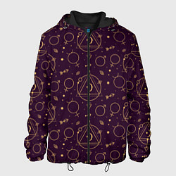 Куртка с капюшоном мужская Эзотерическая символика - знаки алхимии, цвет: 3D-черный