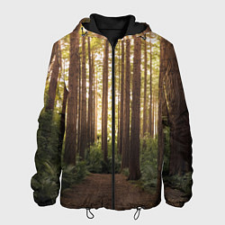 Куртка с капюшоном мужская Дневной лес, деревья и свет, цвет: 3D-черный