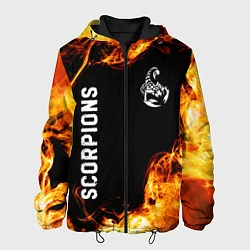 Куртка с капюшоном мужская Scorpions и пылающий огонь, цвет: 3D-черный