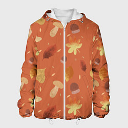 Мужская куртка Осень в лесу