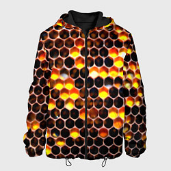 Куртка с капюшоном мужская Медовые пчелиные соты, цвет: 3D-черный