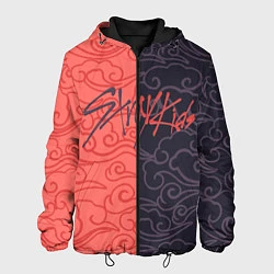 Куртка с капюшоном мужская Strey Kids x Anime, цвет: 3D-черный
