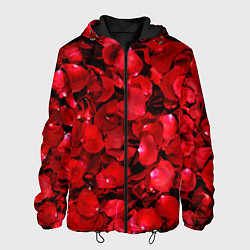 Мужская куртка Лепестки алых роз