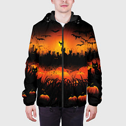 Куртка с капюшоном мужская Кошки хэллоуина, цвет: 3D-черный — фото 2