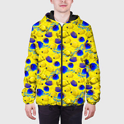 Куртка с капюшоном мужская Разноцветные тропические рыбы, цвет: 3D-черный — фото 2