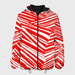 Мужская куртка Упавшая полоска