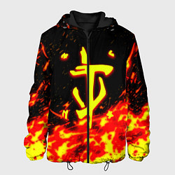 Куртка с капюшоном мужская Doom огненное лого, цвет: 3D-черный
