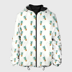 Мужская куртка Летние мотивы ананас