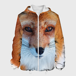 Куртка с капюшоном мужская Взгляд лисы, цвет: 3D-белый