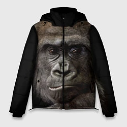 Мужская зимняя куртка Глаза гориллы
