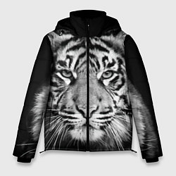 Мужская зимняя куртка Мордочка тигра