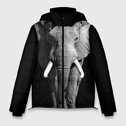 Куртка зимняя мужская Старый слон, цвет: 3D-черный