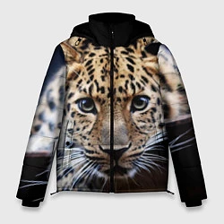 Куртка зимняя мужская Дикая кошка, цвет: 3D-черный