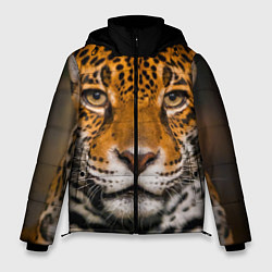 Мужская зимняя куртка Взгляд ягуара