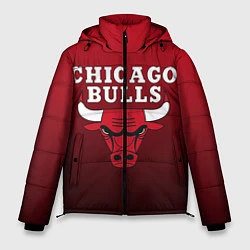 Куртка зимняя мужская CHICAGO BULLS, цвет: 3D-черный