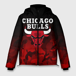 Куртка зимняя мужская CHICAGO BULLS, цвет: 3D-черный