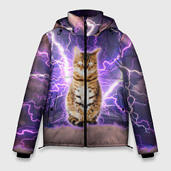 Куртка зимняя мужская Котушка Теслы, цвет: 3D-светло-серый