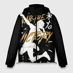 Куртка зимняя мужская Haikyuu Haikyu Haikuu, цвет: 3D-черный