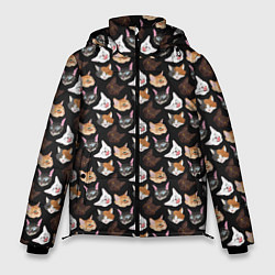 Куртка зимняя мужская Много котов, цвет: 3D-черный
