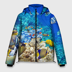 Куртка зимняя мужская Морской мир, цвет: 3D-черный