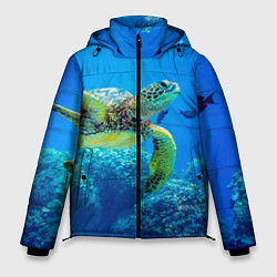 Куртка зимняя мужская Морская черепаха, цвет: 3D-красный