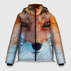 Мужская зимняя куртка Мордочка лисы