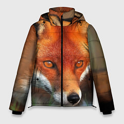 Куртка зимняя мужская Лисица охотница, цвет: 3D-черный
