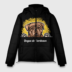 Куртка зимняя мужская Бордоский Дог Dogue de bordeaux, цвет: 3D-черный