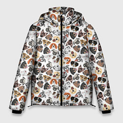 Куртка зимняя мужская Разные Породы собаки, цвет: 3D-светло-серый