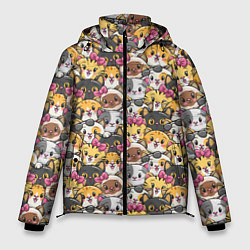 Куртка зимняя мужская Котики Много котиков!, цвет: 3D-черный