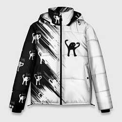 Куртка зимняя мужская Ъуъ съука чб, цвет: 3D-светло-серый