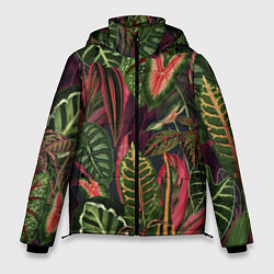Куртка зимняя мужская Красные Тропики, цвет: 3D-черный