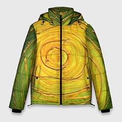 Мужская зимняя куртка Желто-зеленая текстурная абстракция акрилом