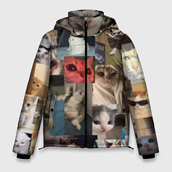 Куртка зимняя мужская Мемные котики, цвет: 3D-черный