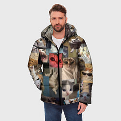 Куртка зимняя мужская Мемные котики, цвет: 3D-черный — фото 2