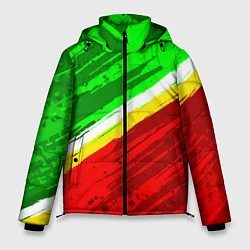 Куртка зимняя мужская Расцветка Зеленоградского флага, цвет: 3D-черный