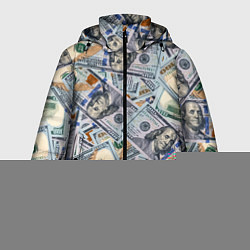 Куртка зимняя мужская Банкноты сто долларов, цвет: 3D-светло-серый