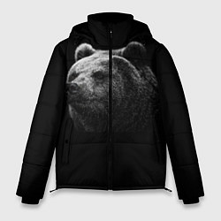Куртка зимняя мужская Взгляд мишки, цвет: 3D-черный