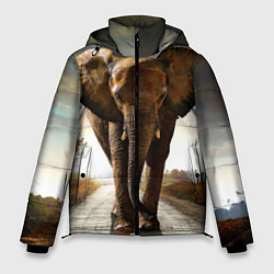 Куртка зимняя мужская Дикий слон, цвет: 3D-черный