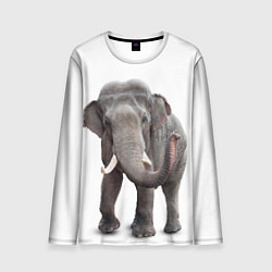Лонгслив мужской Большой слон, цвет: 3D-принт