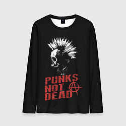 Мужской лонгслив Punks Not Dead