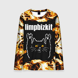 Лонгслив мужской Limp Bizkit рок кот и огонь, цвет: 3D-принт
