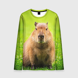 Лонгслив мужской Capybara on green grass, цвет: 3D-принт