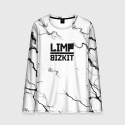 Лонгслив мужской Limp bizkit storm black, цвет: 3D-принт