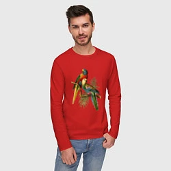 Лонгслив хлопковый мужской Тропические попугаи, цвет: красный — фото 2